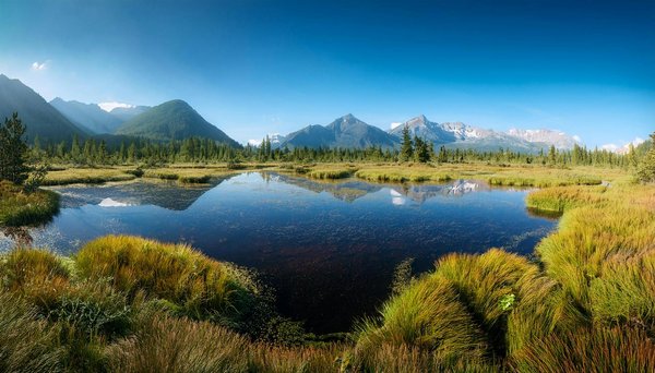 Escapade romantique en Bretagne : les campings les plus charmants