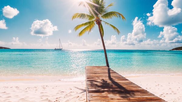 Top destinations à visiter à Saint-Martin pour vos vacances